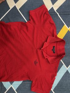 peter england casual polo collar tshir
