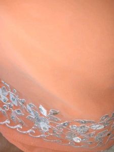 Peach Embroidered Fancy Saree With Stitched Blouse