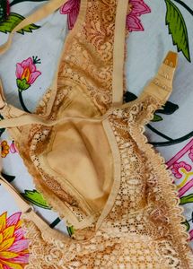 Lingerie Net Lace Bra (40/100)(Non-padded)