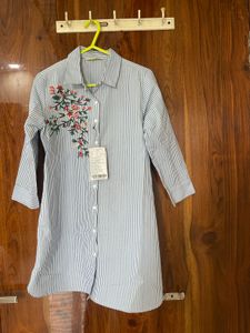Striped Embroidered Shirt Dress