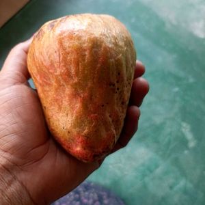 Raamphal Fruit Seeds (50nos)