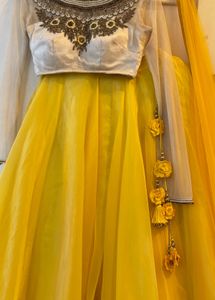 Embroidered Lehenga Choli