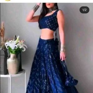Blue Embellished Lehenga Choli