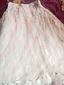 Beautiful Crop Top And Lehenga For Women