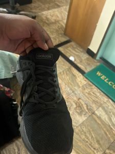 Adidas Pro Foam Shoes