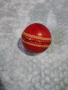 Used Cricket Ball
