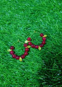 Red Beaded Necklace