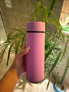 Purple Water Bottles (set Of 2)