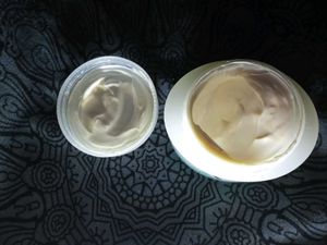 Aaranyaa Day Cream SPF15+