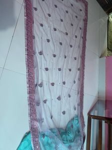 Net Pallu Saree