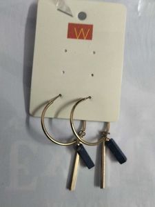 Hanging Stunning Earrings