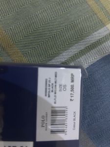 Polo Bear Wallet