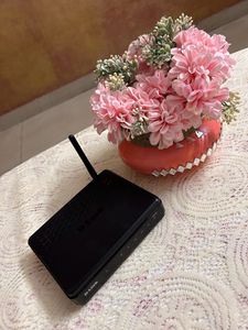 D-Link Router
