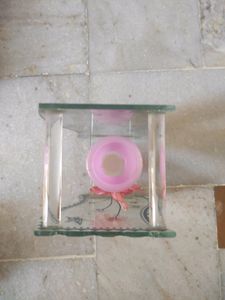 Glass Flower Vase