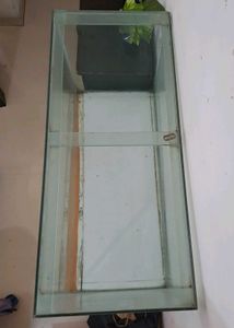 Glass Aquarium With Black Lid