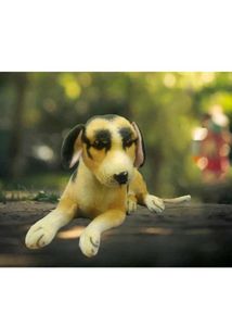 Stuffed Dog  (Brown &amp; black )