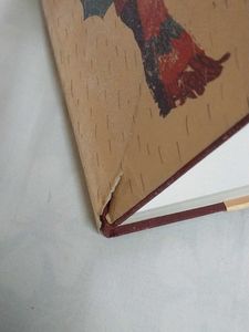 বৃষ্টি নামার পরে - সুচিত্রা ভট্টাচার্য