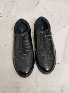 Selling fast Brand New Laces Shoes 40