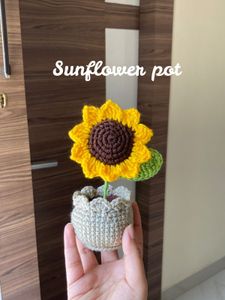 Crochet Flower Pots