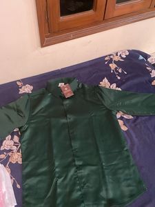 Emerald Green Silky Button-Down