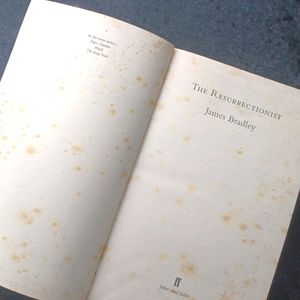 The Resurrectionist By James Bradley And The Summer Of The Sisterhood