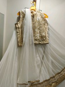Festive Wear Lehenga Choli Set