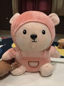 Pink Bear Plushie
