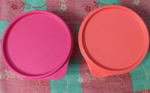 Tupperware Bowls (Set of 2)