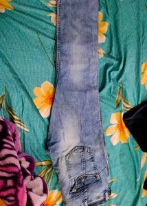 Roadster Straight Fit Pant