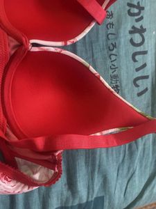 Floral Print Bra underwires 32b lightly padded