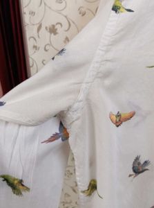 Zara Man Bird Shirt