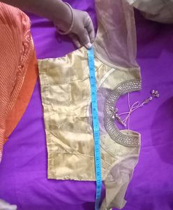 Red Saree With Golden Blouse