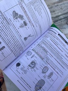 Allen Biology Module