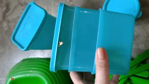 Green Colour Dinner Set