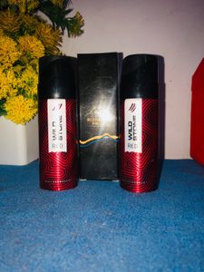 Set Of 2 Wild Stone Deo