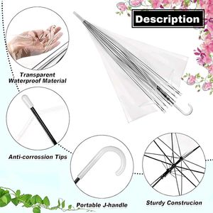 Clear Bubble Umbrella