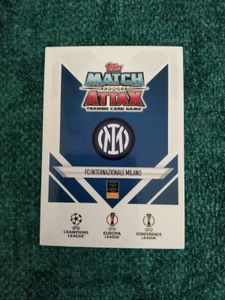 Javier Zanetti Trophy Triumph Card