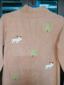 Cute Embroidered Sweater🌸
