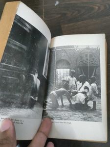 The Wolf Children Book