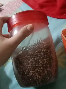 CORIANDER Seeds fried Healthy And Weight lossing