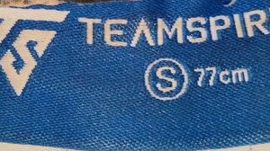 Teamspirit Beach Day Shorts