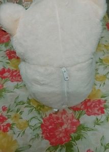 Only 3days Old Teddy