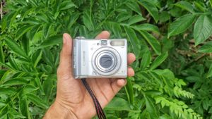 Canon PowerShot A520