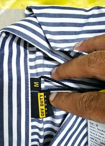 Striped Button-Down Shirt