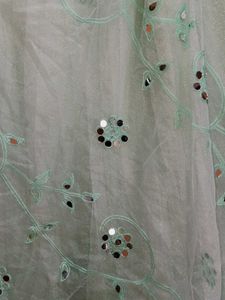 Mint Green Embellished Lehenga