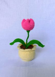 Handmade Crochet Flower Pot