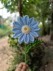 Gerbera flower