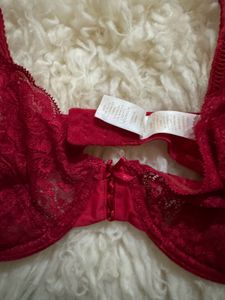 Branded Net Bra