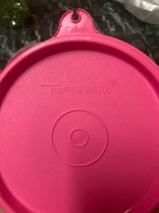 Tupperware Executive Container Set Of 3
