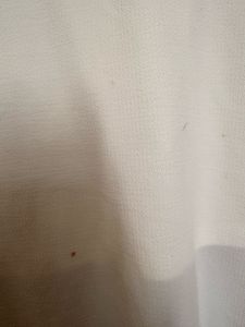 Zara White Flowy Crop Top